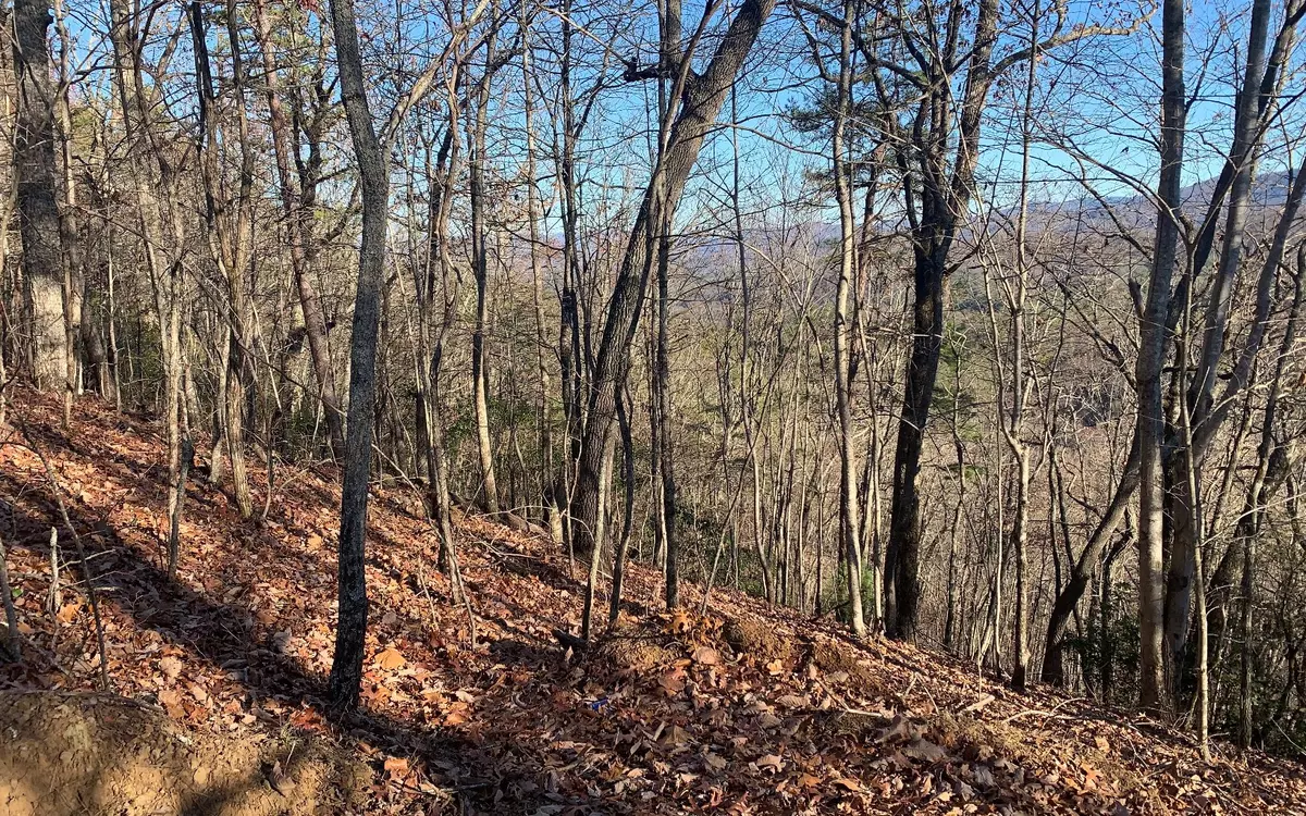 Brasstown, NC 28902,LOT25 Laurel Mountain Drive