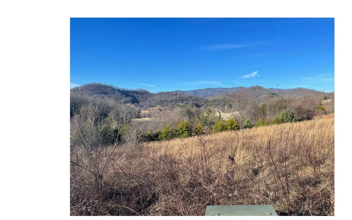 Hayesville, NC 28904,LT 35 Mountain Harbour Drive