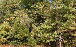 Ellijay, GA 30536,LOT18 Frances Drive