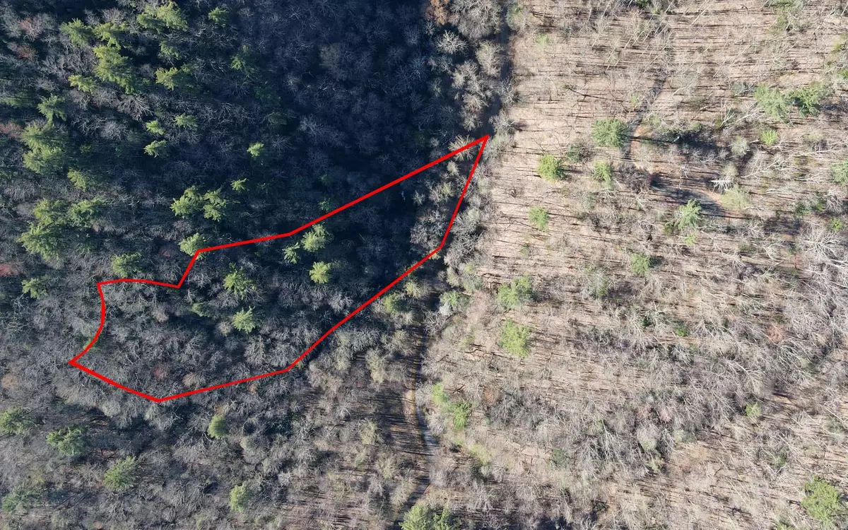 Blairsville, GA 30512,Highland Falls Lot25