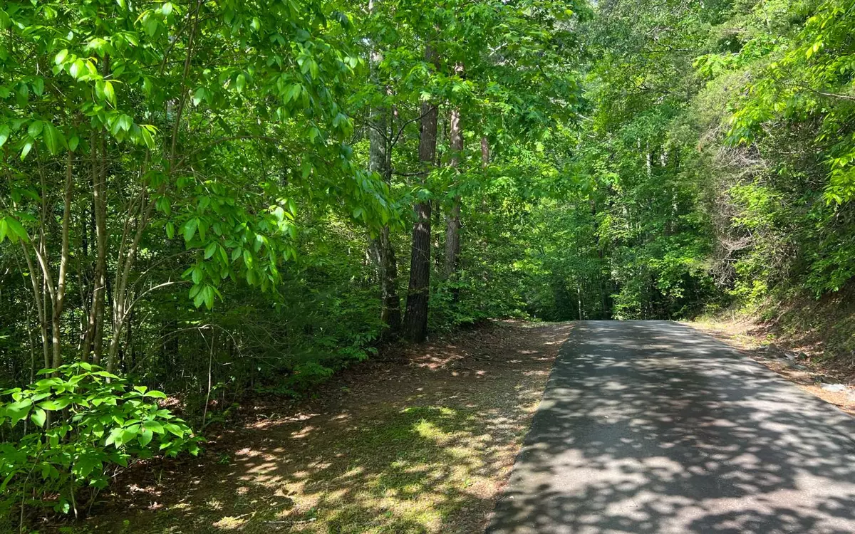 Murphy, NC 28906,LOT 4 Chestnut Oaks Drive