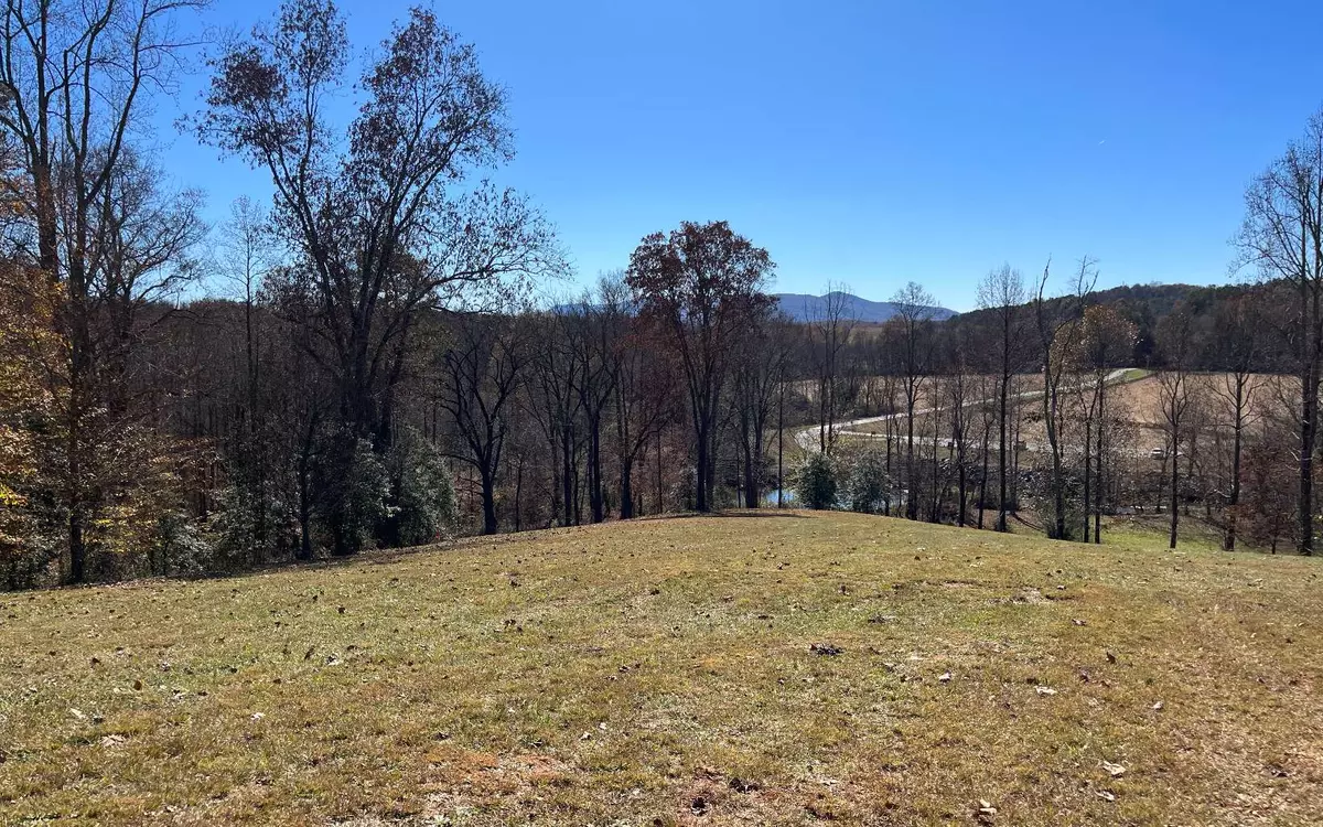 Hayesville, NC 28904,LOT 11 Hinton Overlook