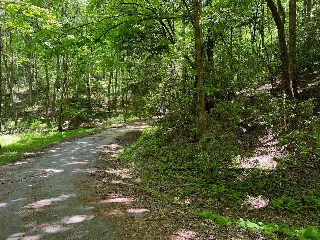 Ellijay, GA 30540,Lot 436 Okemah Court