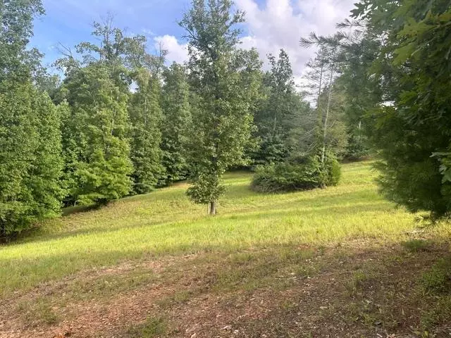 Blairsville, GA 30512,Lot 109 Riverside On Lake Nottely