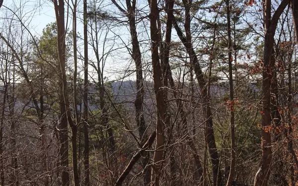 Ellijay, GA 30540,Tara Drive - Lot 182