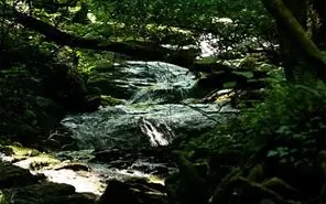 LT165 Cold Stream Trail, Jasper, GA 30143