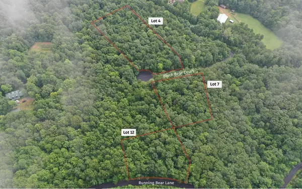 Ellijay, GA 30536,LT 4 Black Bear Court