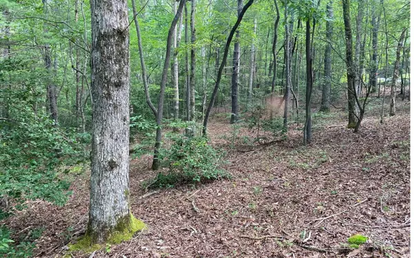 LOT 3 Liberty Church Lane, Blairsville, GA 30512