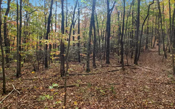 Ellijay, GA 30536,6 AC. Mealer Road