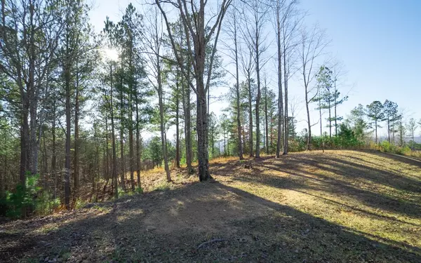 Blairsville, GA 30512,LT253 Ridge Pointe Way