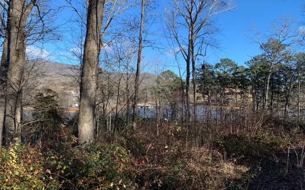 LT 25 Beech Cove Vista, Hiawassee, GA 30546