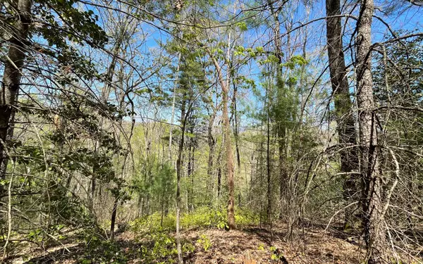 LOT 5 Soapstone Creek Circle, Hiawassee, GA 30546