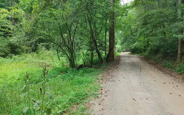 East Ellijay, GA 30540,Lot 295 Llama Lane