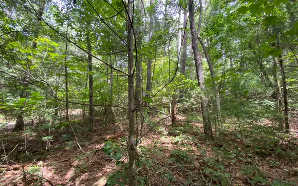 LOT4 Off John Teem Rd, East Ellijay, GA 30536