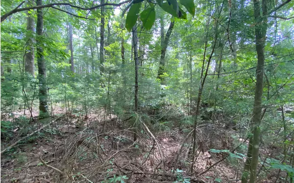 East Ellijay, GA 30536,LOT4 Off John Teem Rd