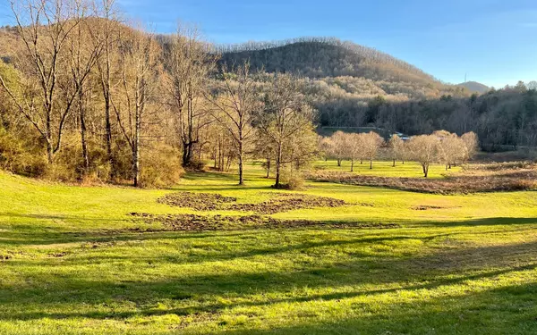 Rabun Gap, GA 30568,0 Green Meadows Drive