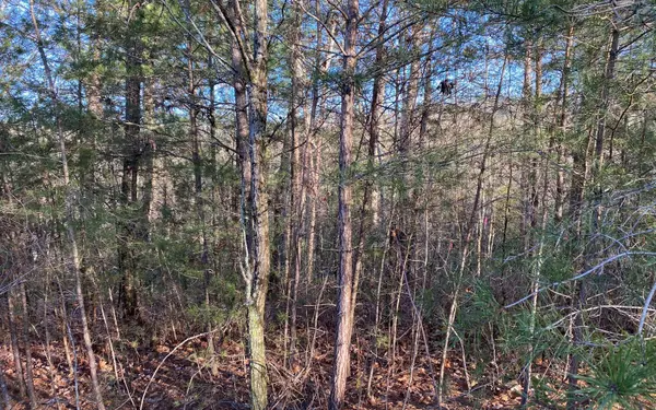 Blue Ridge, GA 30513,LOT26 Cohutta Overlook Trail