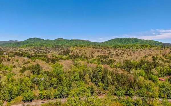 Ellijay, GA 30540,LT 75 Bluffs Of Cartecay