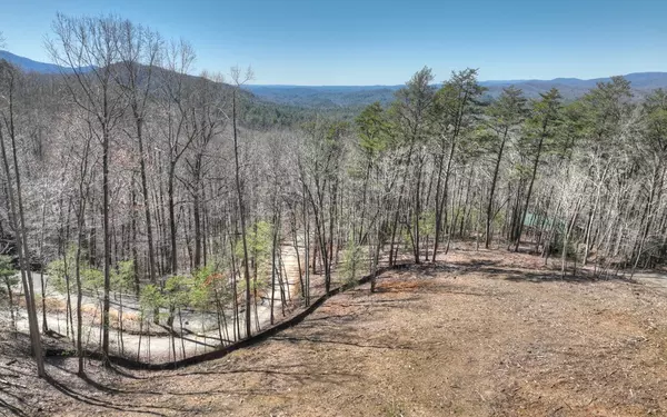 Blue Ridge, GA 30522,88 Laurel Ridge Way