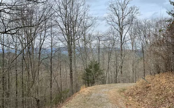 Murphy, NC 28906,57 Majestic View Run