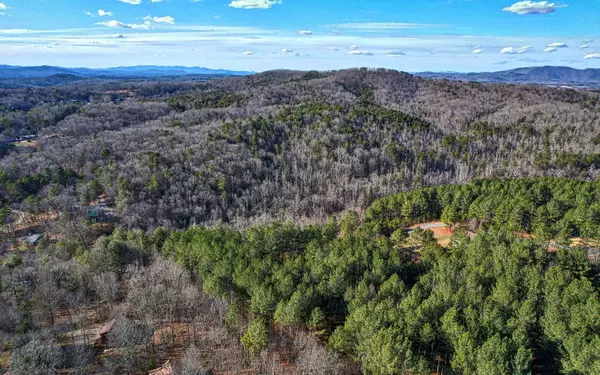 Blairsville, GA 30512,LOT45 Pinehurst Road