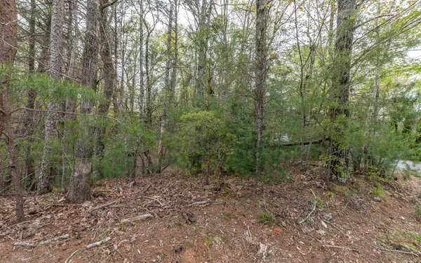 Ellijay, GA 30540,LT 79 Oconee Court