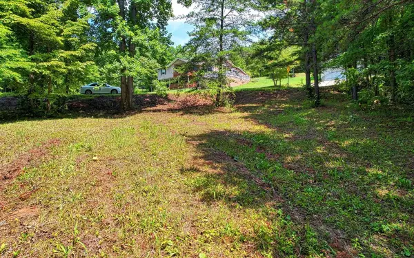 Hiawassee, GA 30546,35/43 Bell Creek Estates