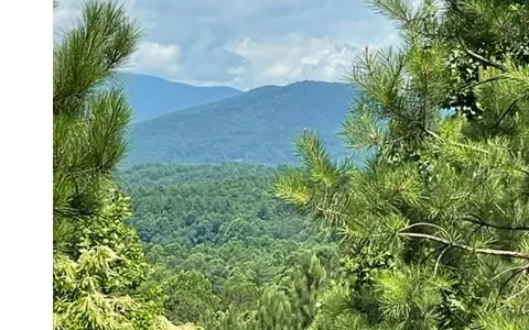 Blairsville, GA 30512,19/20 The Hills at Queens Gap