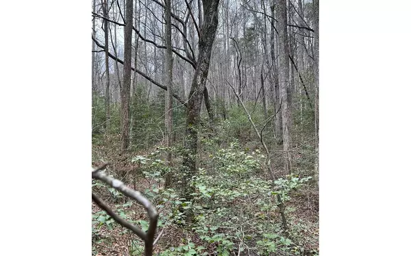 Ellijay, GA 30536,Jesses Run - Lot 36