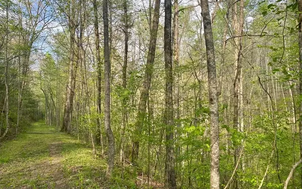 East Ellijay, GA 30540,38+AC Ridgehaven Trail