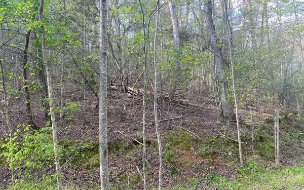 East Ellijay, GA 30540,38+AC Ridgehaven Trail