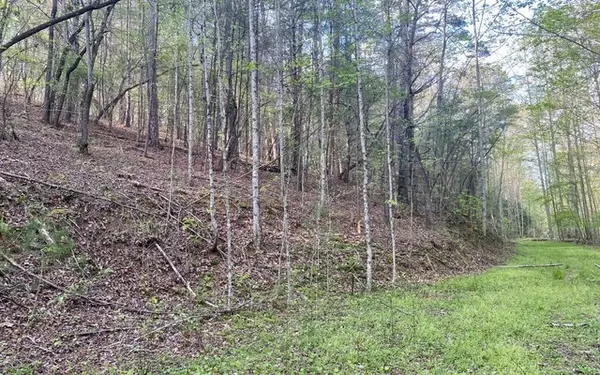 East Ellijay, GA 30540,38+AC Ridgehaven Trail