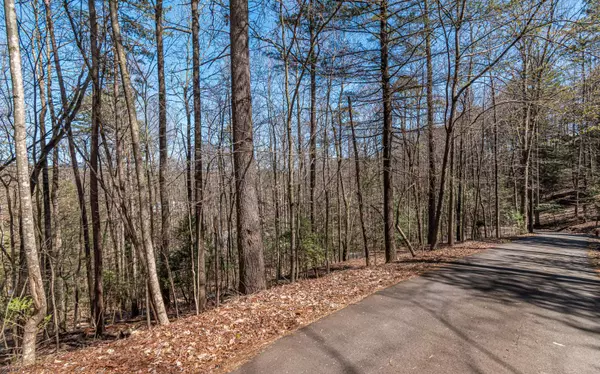 Ellijay, GA 30536,0.64A Stegall Mill Trail