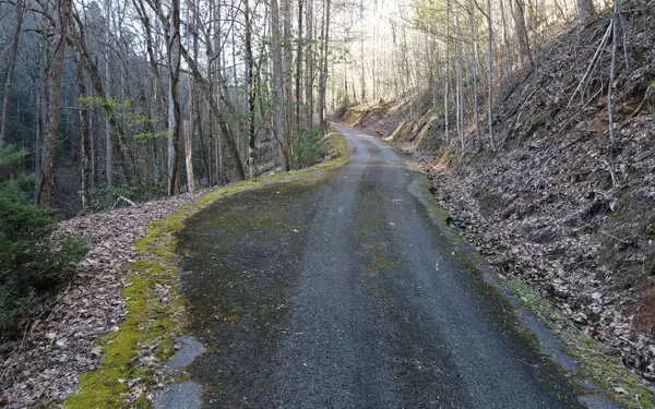 Blairsville, GA 30512,Highland Falls Lot25