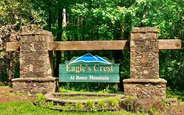 Ellijay, GA 30540,LT 11 Eastview Trail