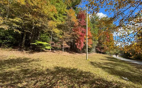 LOT 1 Morganton Hwy, Suches, GA 30572