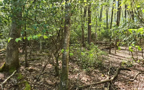 Lot 24 Mull Ln,  Blairsville,  GA 30512