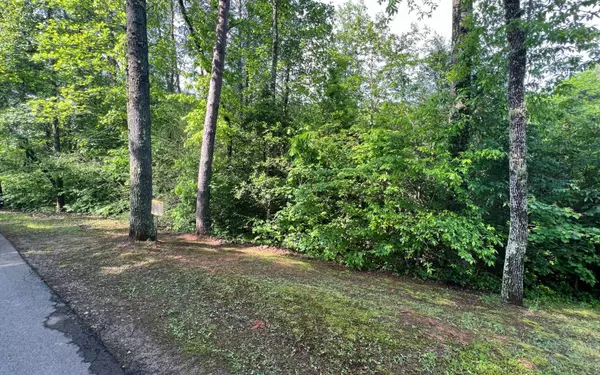 Murphy, NC 28906,LOT 4 Chestnut Oaks Drive