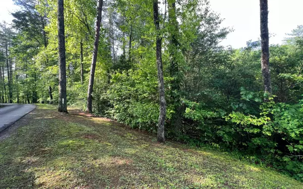 LOT 6 Chestnut Oaks Drive,  Murphy,  NC 28906