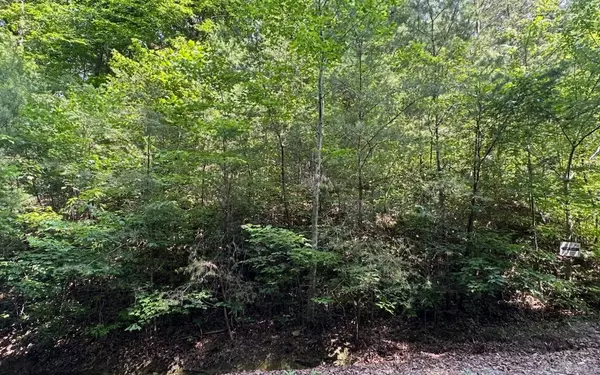 Lot 34 W River Trace, Ellijay, GA 30536