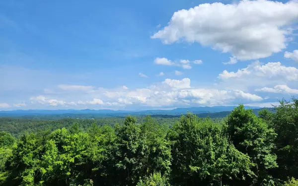 Blue Ridge, GA 30513,Lookout Drive