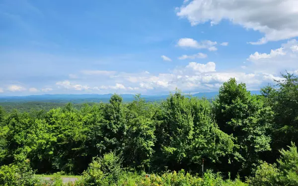 Blue Ridge, GA 30513,Lookout Drive