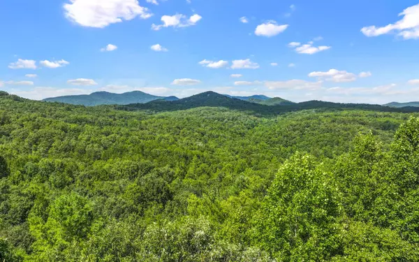 Mineral Bluff, GA 30559,0 North View Drive