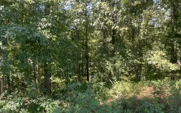 Ellijay, GA 30536,LOT 2 Clear Creek Preserve Way