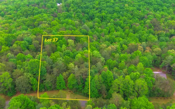 Ellijay, GA 30536,Lot 37 East Ridge Ln