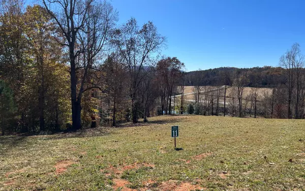 Hayesville, NC 28904,LOT 11 Hinton Overlook