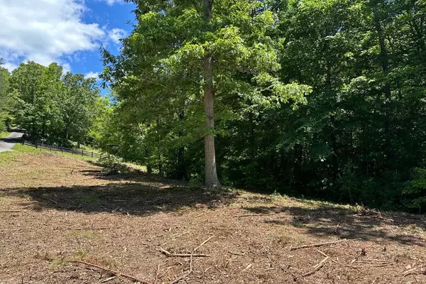 Hayesville, NC 28904,LOT 8 Moore Acres