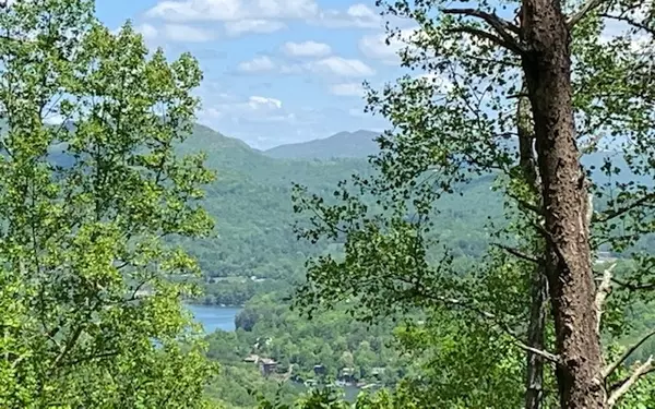 Hiawassee, GA 30546,LOT 8 Hidden Summit Road