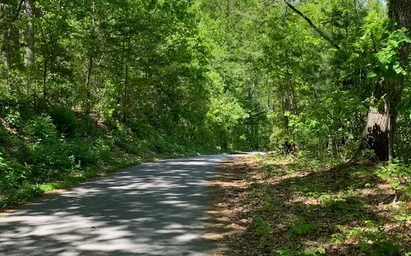 Hiawassee, GA 30546,LOT 8 Hidden Summit Road