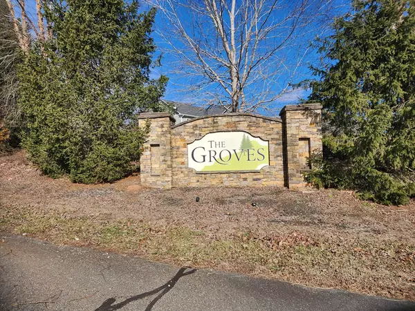 Hayesville, NC 28904,#15 The Groves